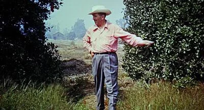 Walt In Orange Grove