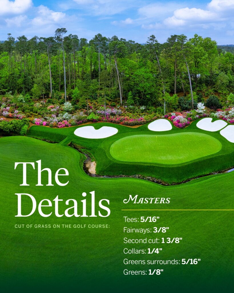 Augusta National Details 819x1024